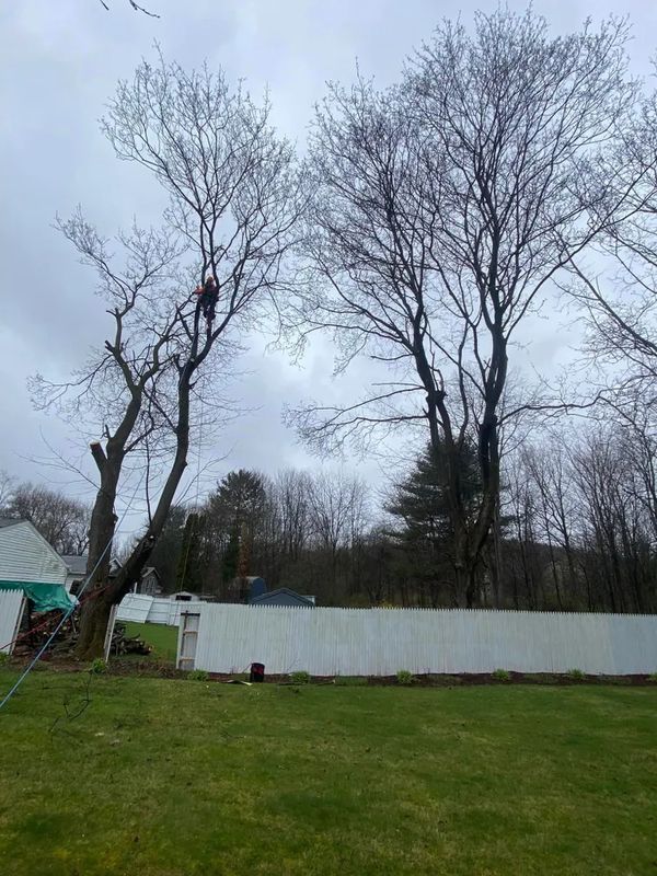Storm work / Emergency work
