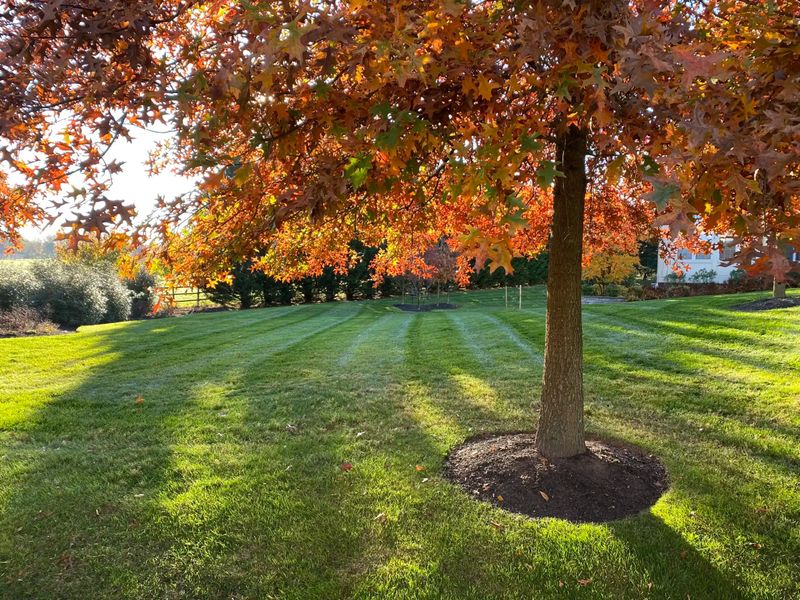 Fall Clean Up