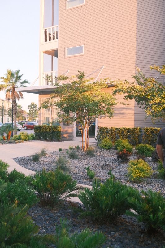 The Lofts at Wildlight