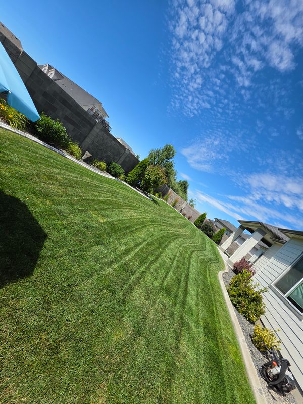 Lawn Mowing