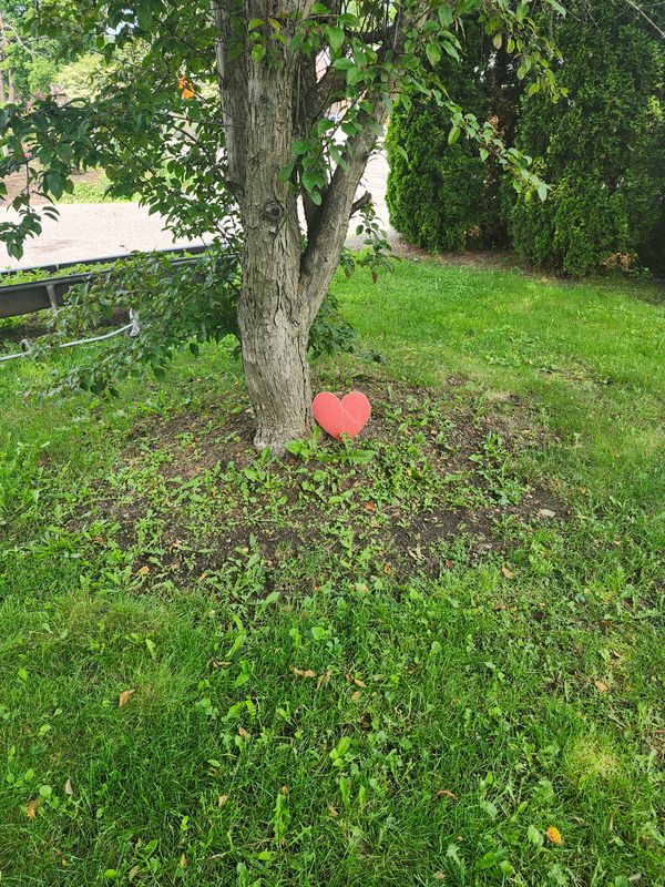 Muclhing & Weeding