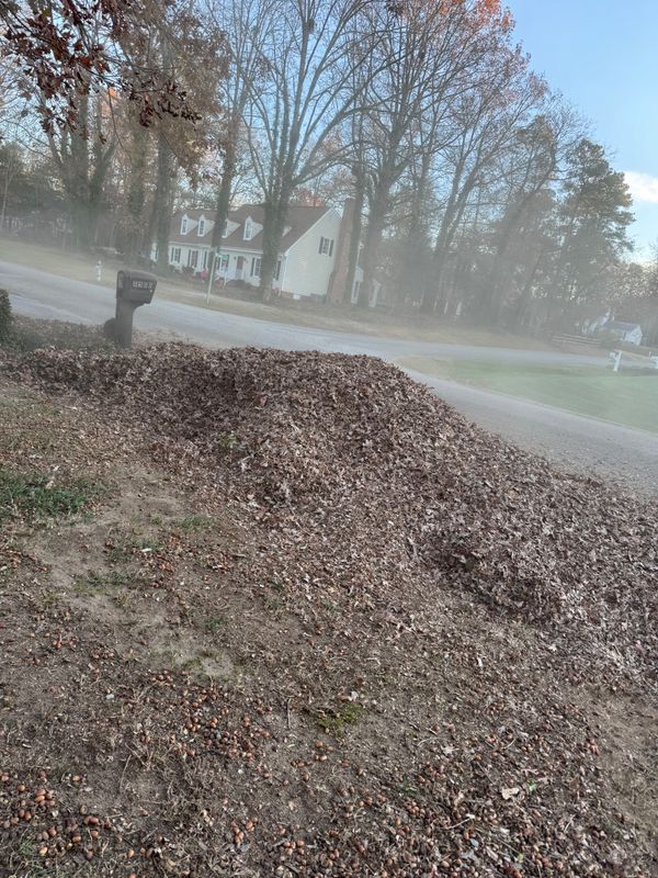 Fall and Spring Clean Up