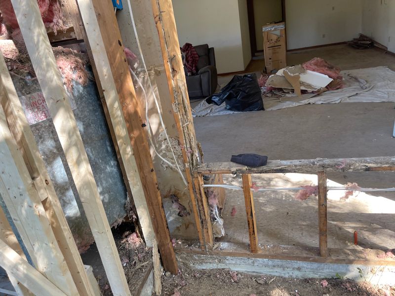 Termite Repairs