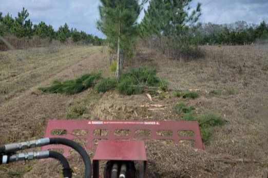 Land Clearing gallery