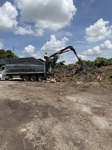 Tree Removal