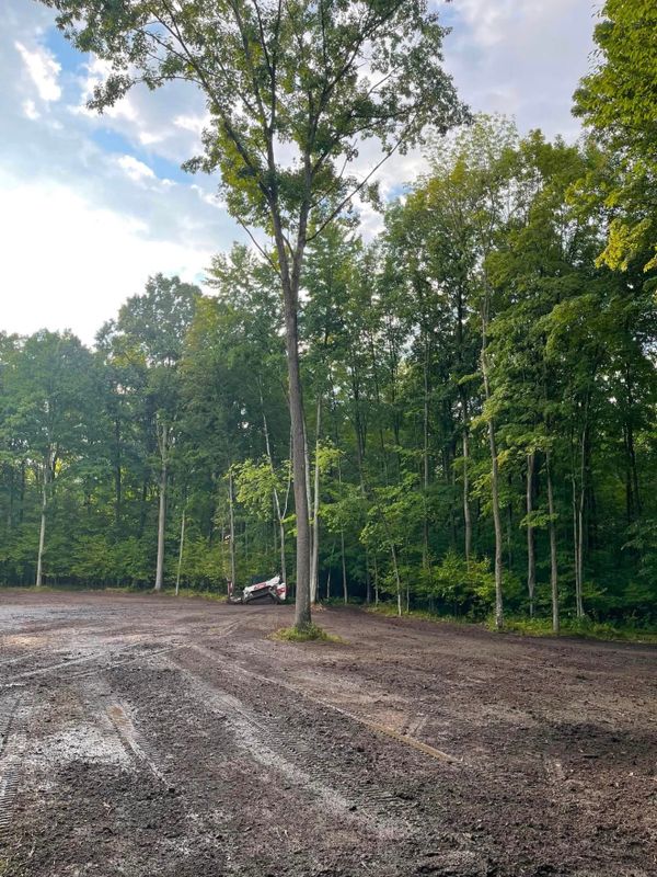 Land Clearing & Forestry Mulching