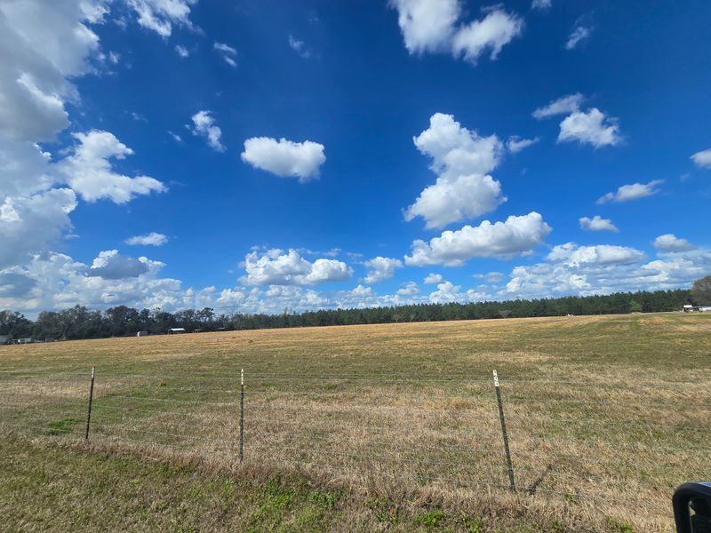 Land Clearing