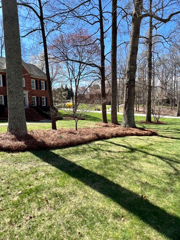 Mulch, River Rock and Pine Needle Installations