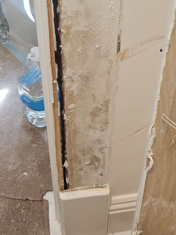Mold Remediation gallery