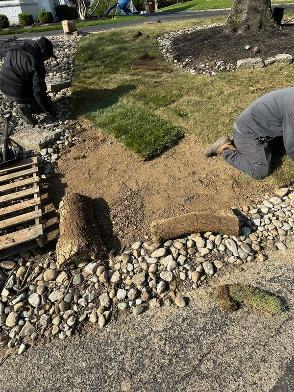 Lawn Installation