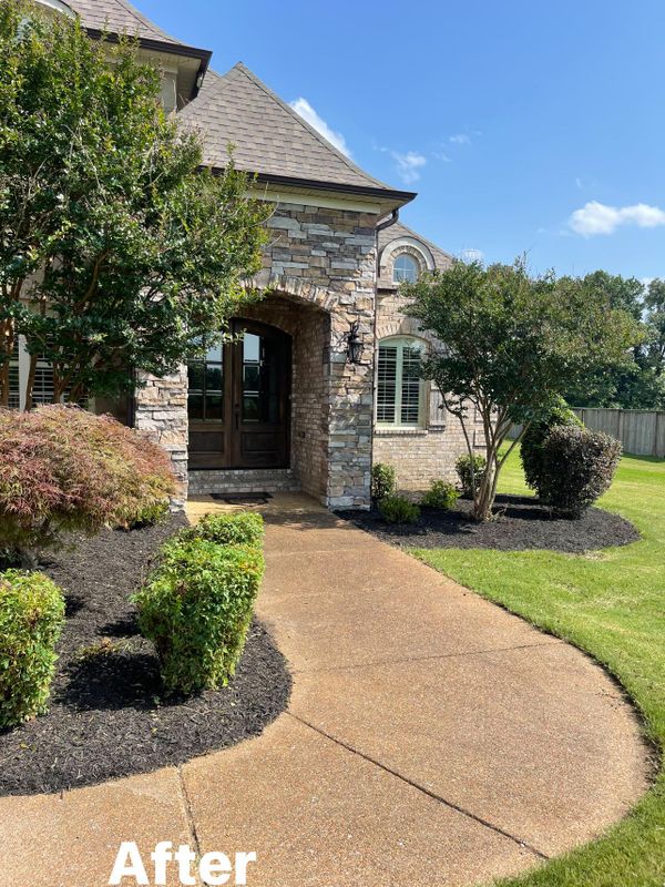 Mulch Installation