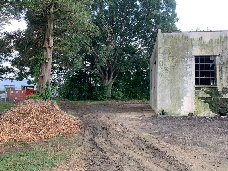 Land Clearing