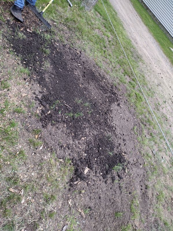 Stump Removal
