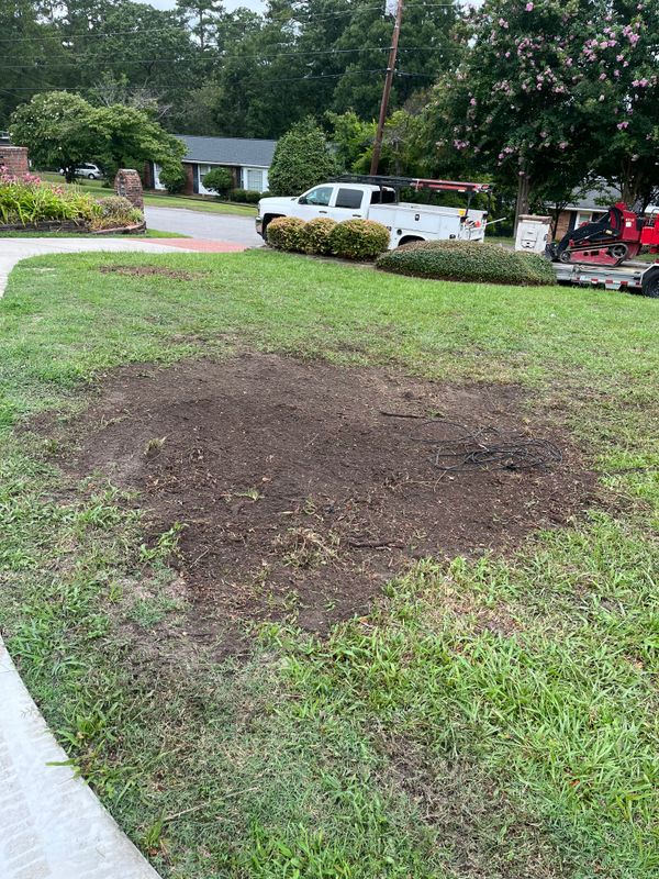 Stump Removal