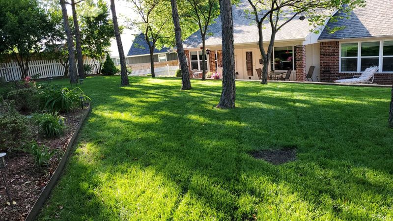 Lawn Care