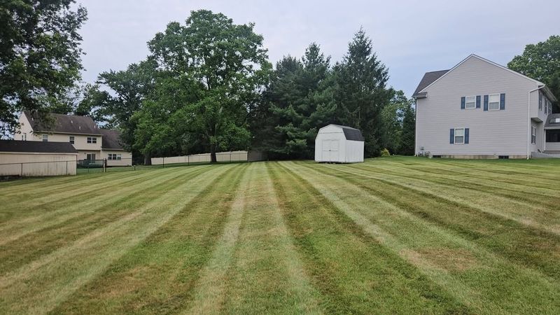 Lawn Maintenance