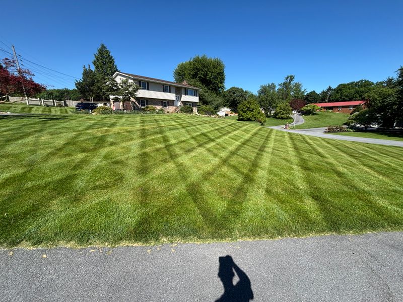 Lawn Mowing