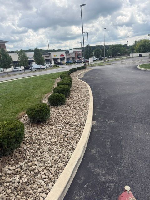 Shrub Trimming