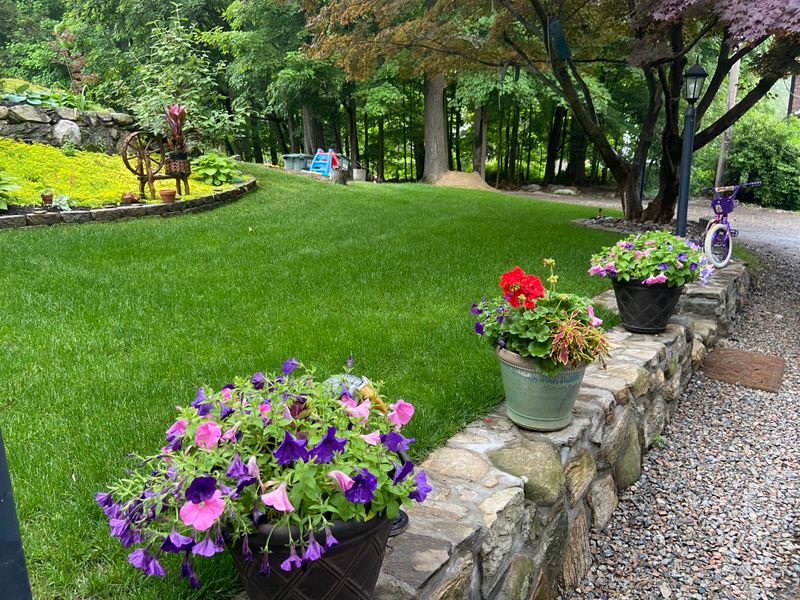 Hardscaping