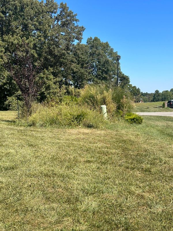Landscaping