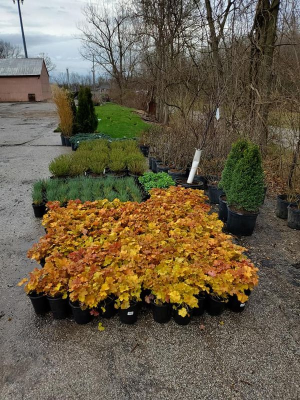 landscaping