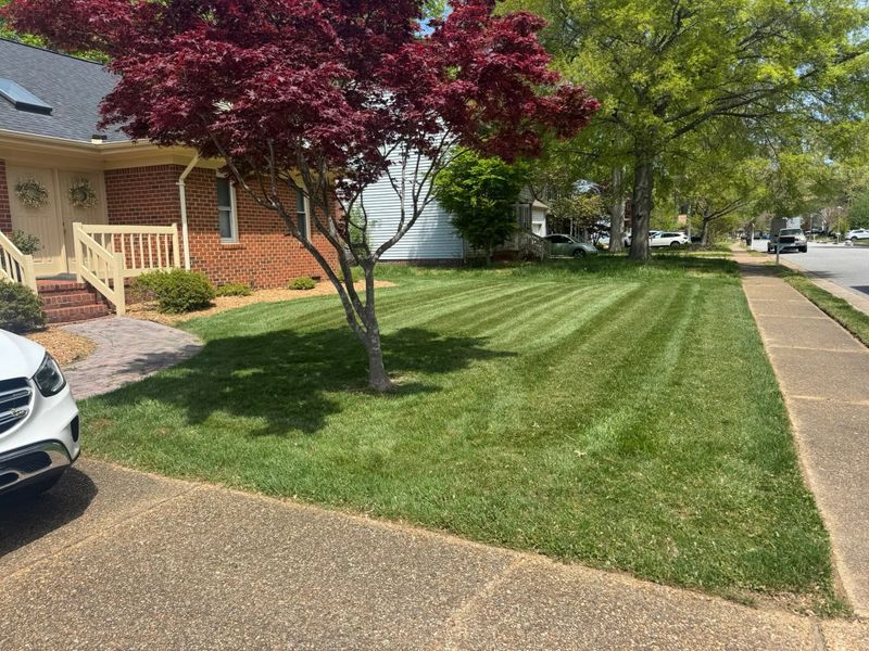 Lawn Mowing