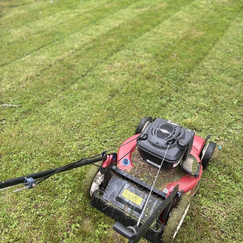 Lawn Maintenance