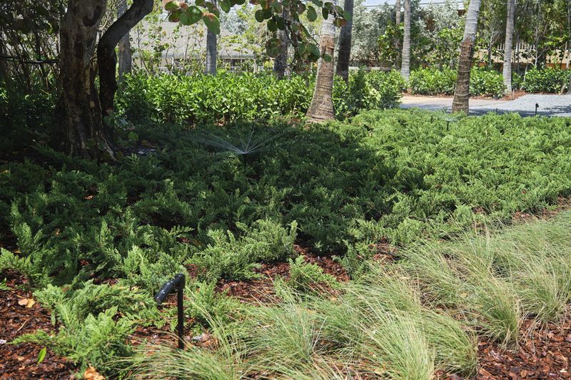 Irrigation gallery