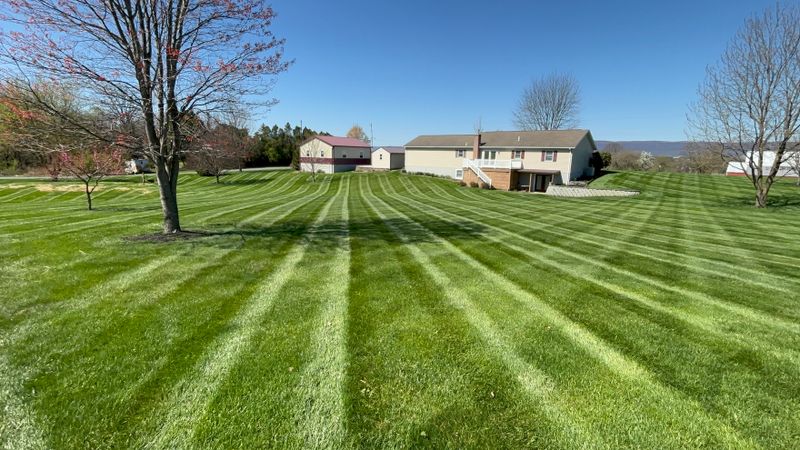 Lawn Mowing