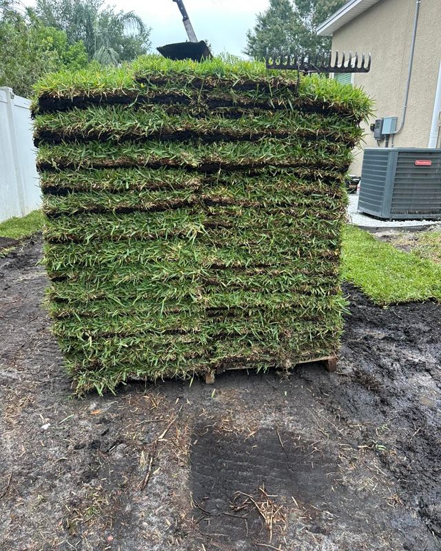Sod Installation