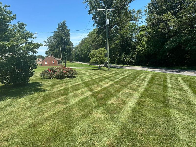 Lawn Maintenance