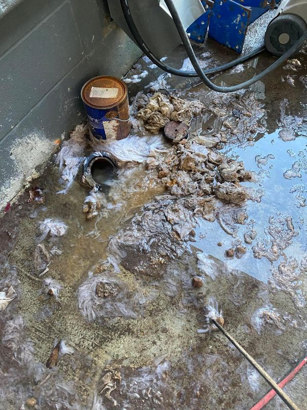 Drain Cleaning