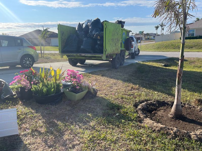 Yard Waste Hauling