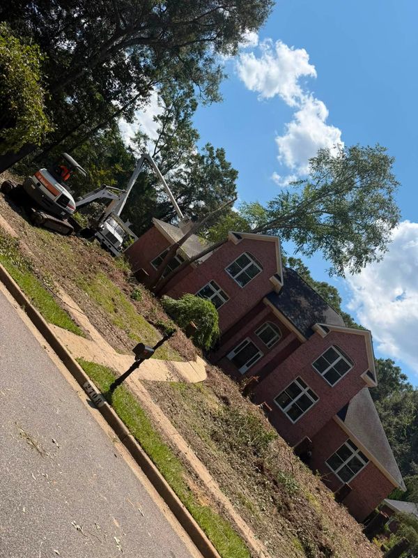 Tree Trimming