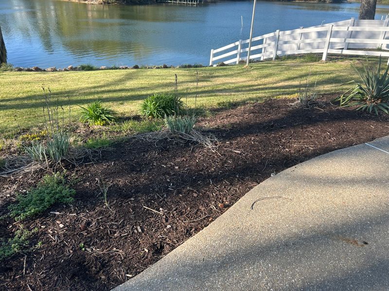 Mulch