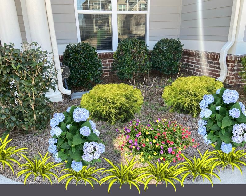 Landscaping Design