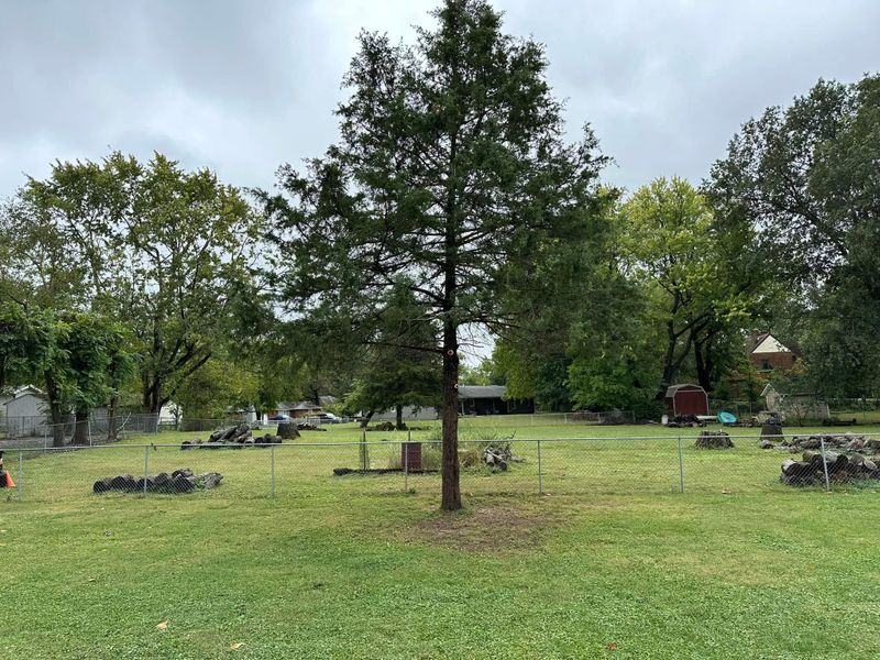 Tree Trimming