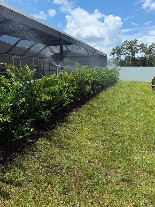 Shrub Trimming