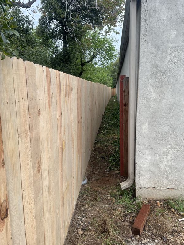 FENCE PICTURES