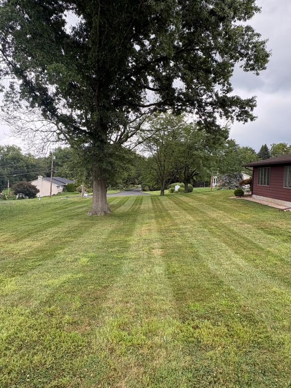 Mowing