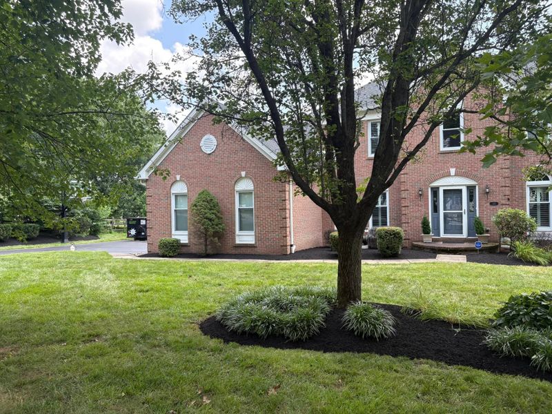 Lawn Care & Maintenance