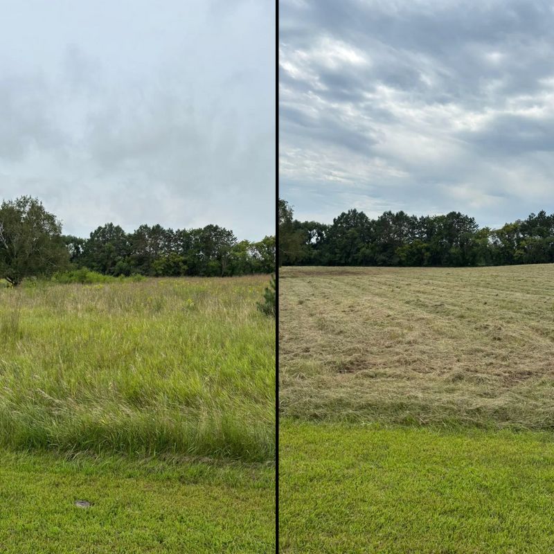 Underbrush Clearing