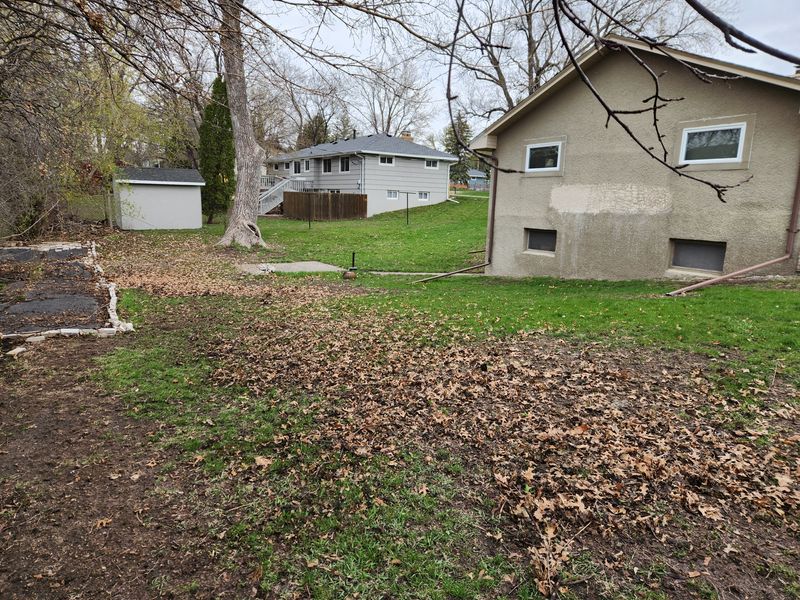 Fall and spring clean up 