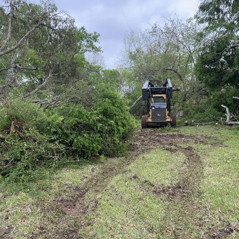 Land Clearing