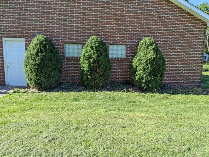Tree & Shrub Care