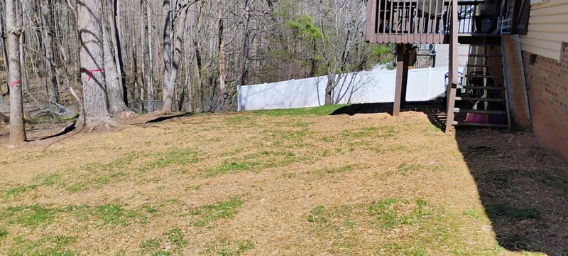 Aeration & Seeding 