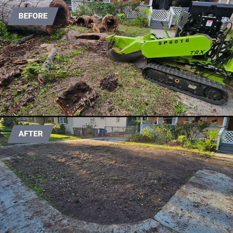 Stump Grinding gallery