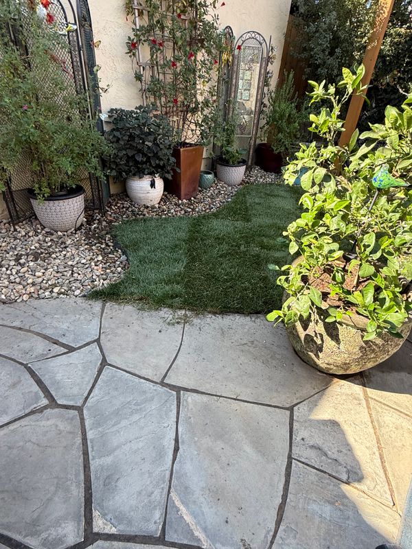 Landscaping