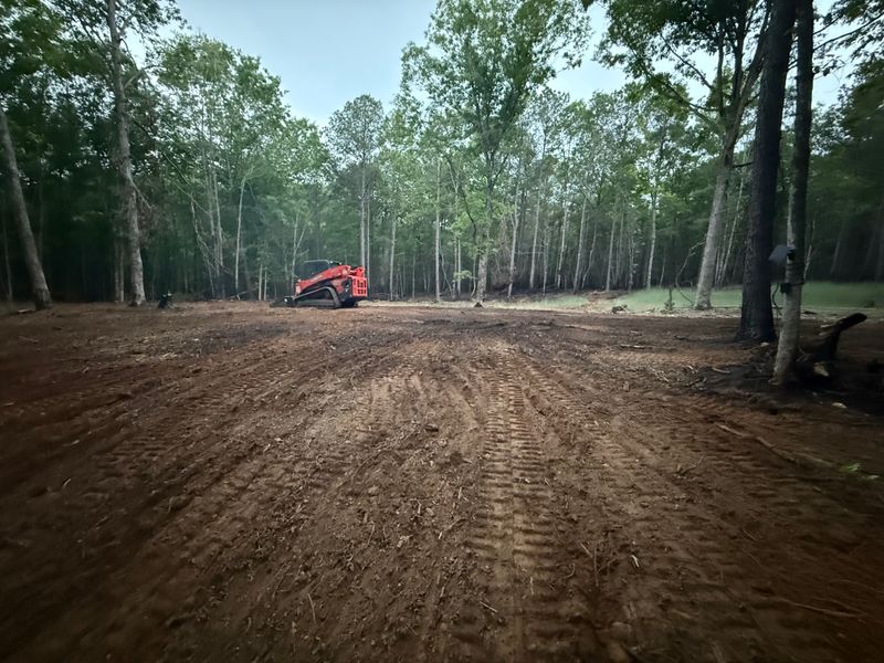 Clearing and mulching