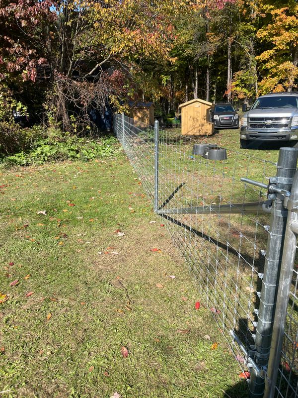 Chain Link Fencing
